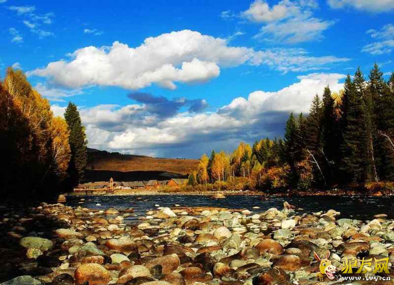 800 (6) - ����.jpg