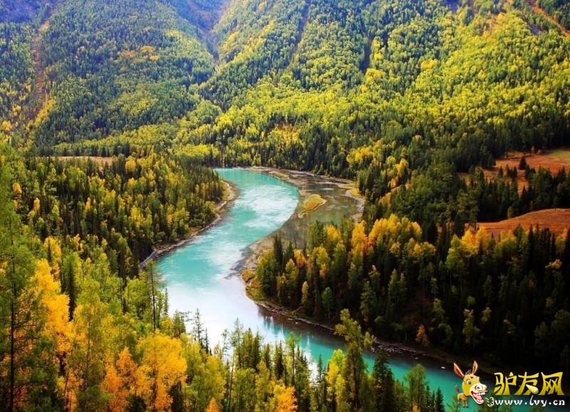 800 (5) - ���� - ����.jpg