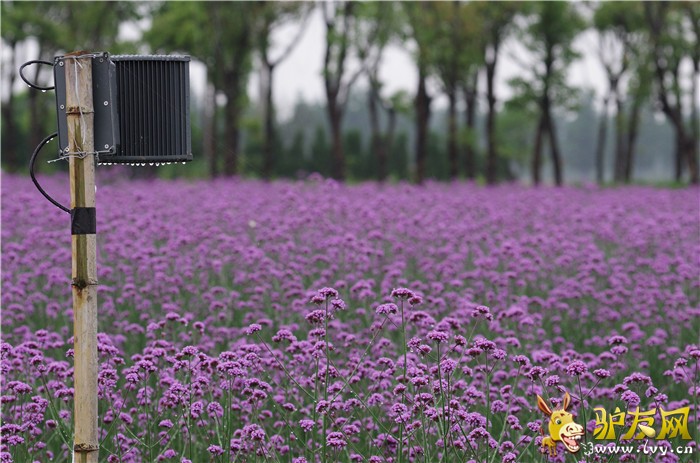 ޹�²� (6)_����.jpg